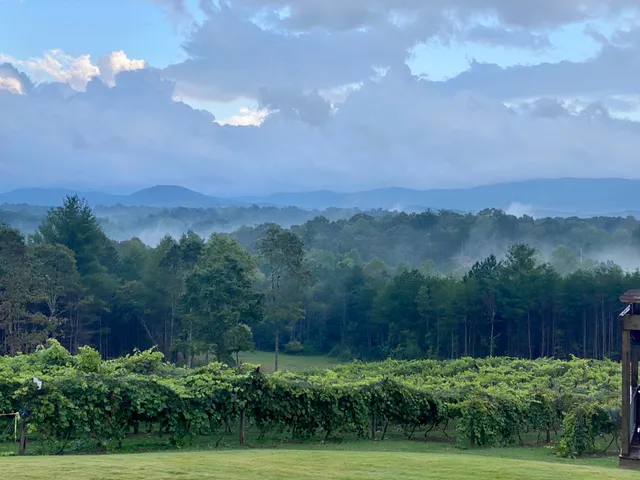 Ott Vineyards And Winery