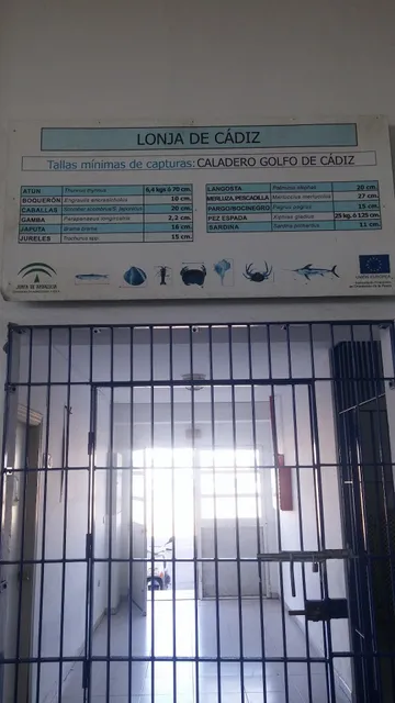 Lonja Pesquera Cadiz