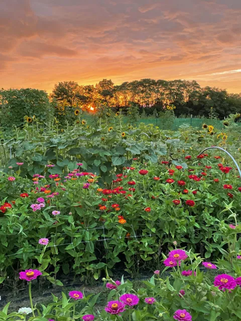 Winking Titmouse Farm, LLC