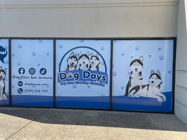 Dog Days San Antonio