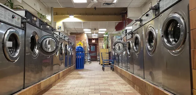 Queen Bee Laundromat