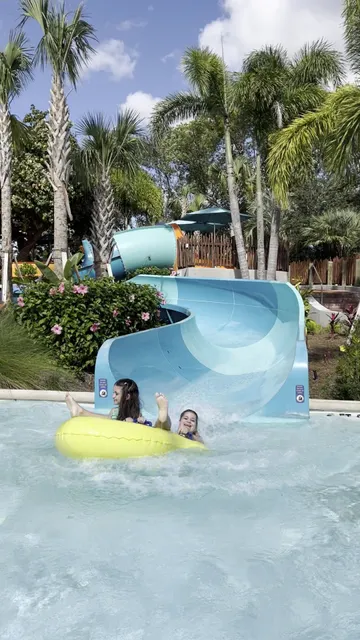 commerson's dolphin aquatica