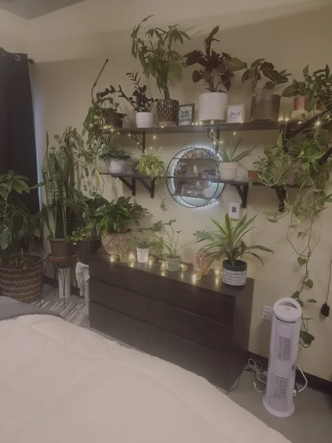 Calmed Soul Holistic Spa