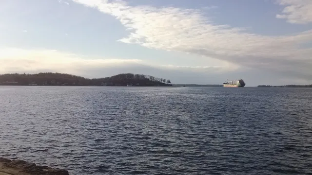 Captain Spicer's Gallery