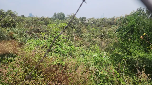 Reserva Ecológica Del Pedregal De San Ángel Núcleo Oriente