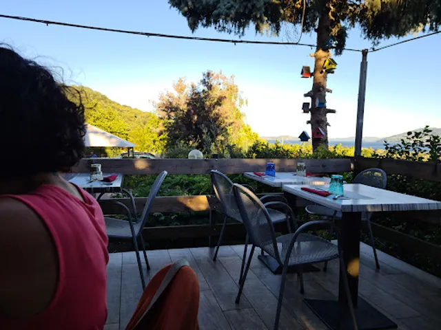 Lo Scricciolo