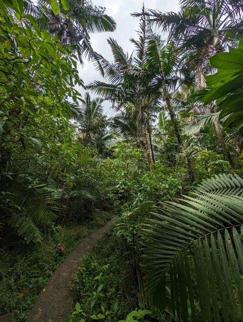 Torre Mount Britton Trailhead