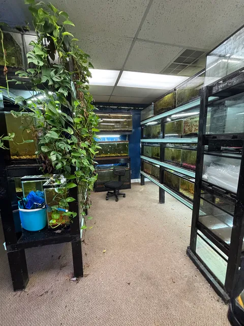 archdale fish & plants