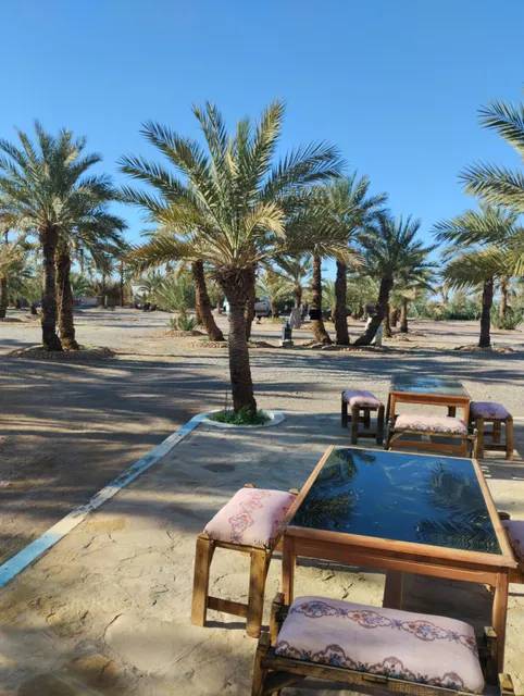 restaurant la palmerie chez rachid