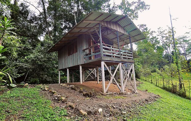 Selva Bananito Lodge