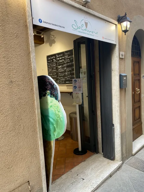 Salamoia Gelateria Naturale