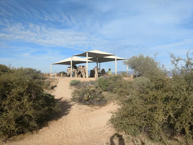 Rowland Campground At McDowell Mountain Park