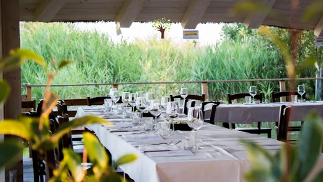 Il Profumo Della Freschezza