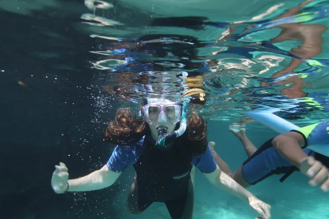 Aquavision Manatee Tours