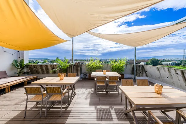 花蓮熊頂｜寵物友善