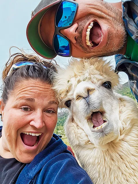 Smooth Alpaca Experience