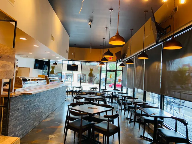 Neko Sushi & Korean and Japanese restaurant