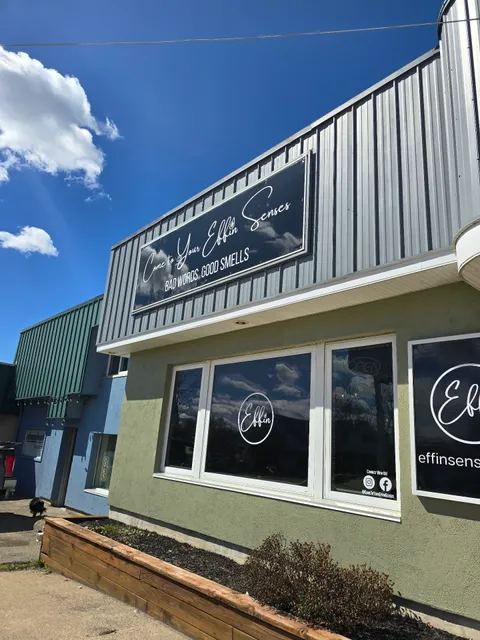 Come to Your Effin Senses