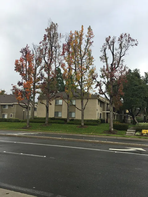 Terra Vista Apartments