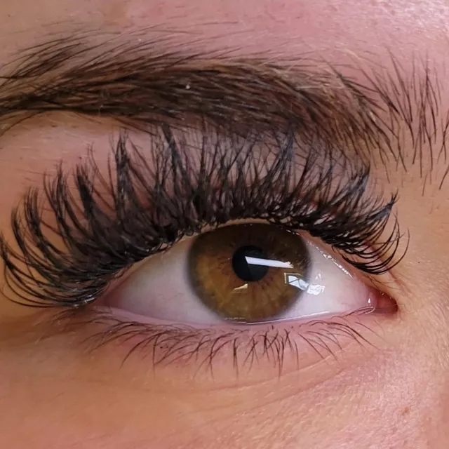 Rebel Rose Lash Artistry