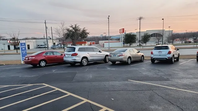 Fatty Fashion Design