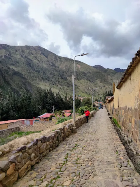 Latente specialty coffee