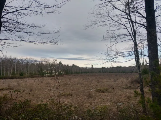 Townsend State Forest