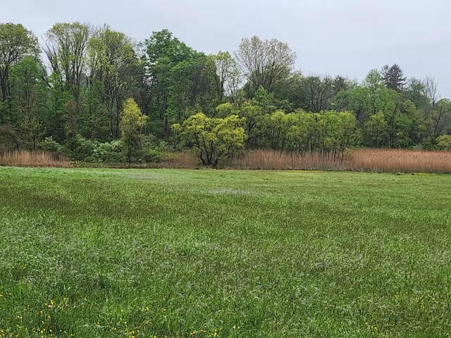 ChesLen Preserve Parking
