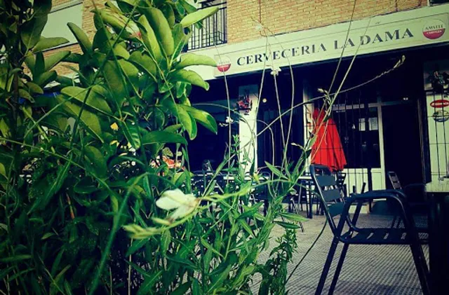 Cerveceria La Dama| Recomendado