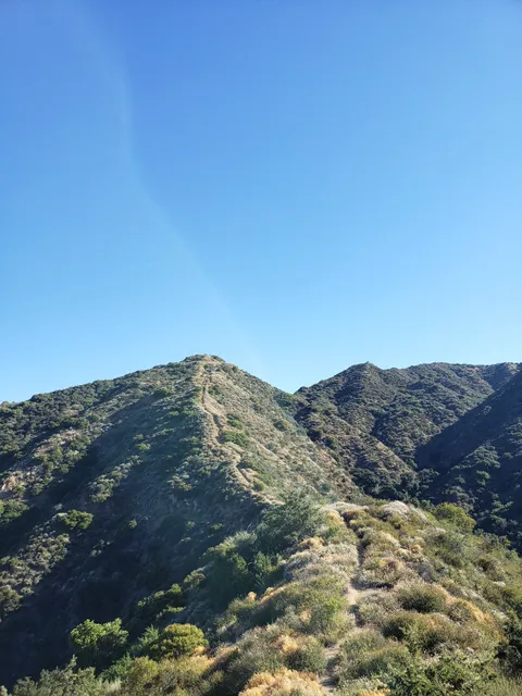 Top of Punk Out Trail