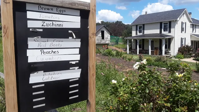 Copper Penny Produce