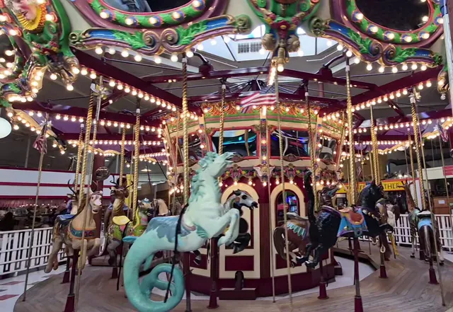 The Carousel