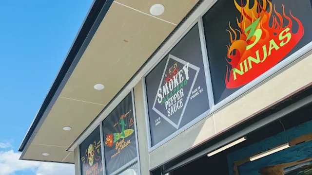 3 Ninjas Liberty Lake