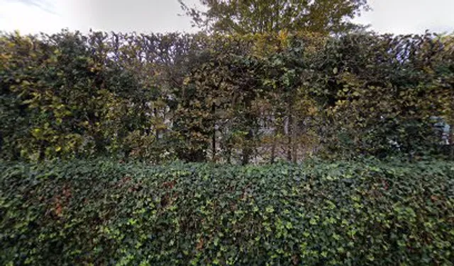 Am Schaumburger Hof 10