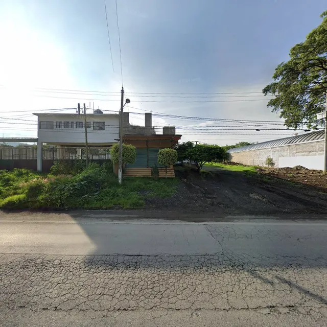 Restaurant Las Palmas