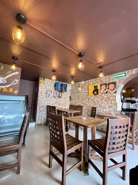 BREAK-FREE Nueva Ubicación