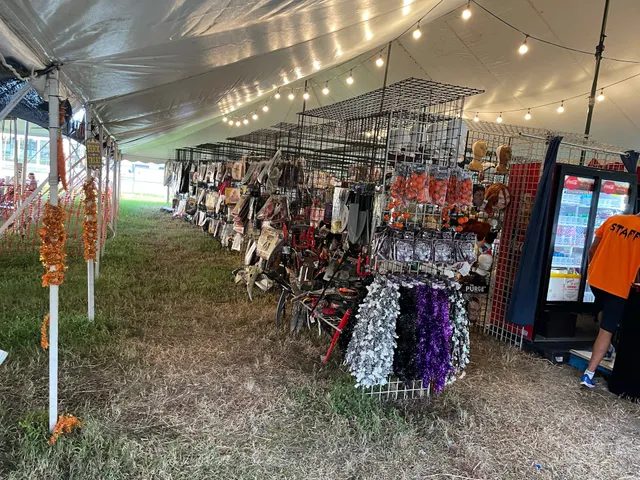 Mr. Jack O' Lanterns Pumpkins