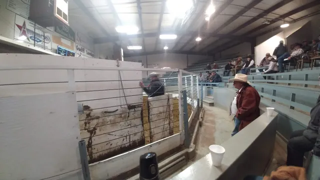 Glendive Livestock Exchange