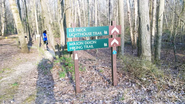 Elk Neck State Forest