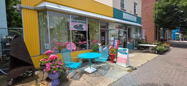 Stardust Vintage & Gift | Del Ray