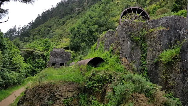 The Crown Mines