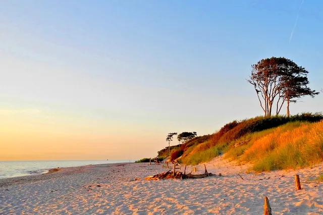 Prerow-Online Hämer & Malt GbR