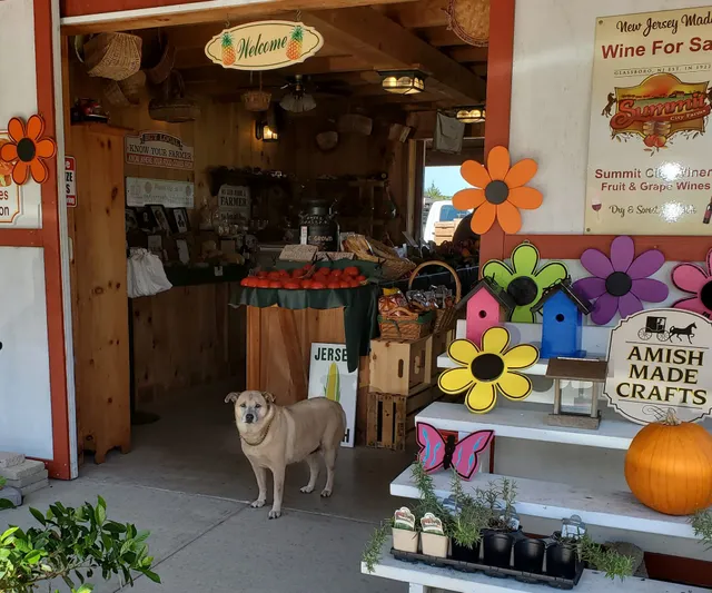 Andy's Countryside Farm Market and Greenhouse