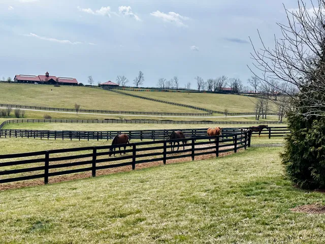 Unique Horse Farm Tours