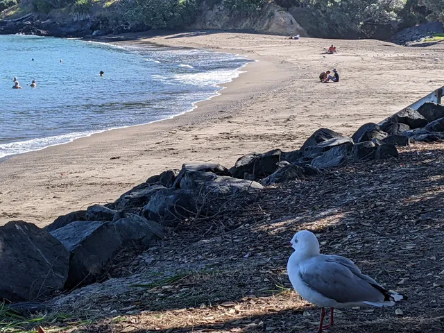 Matheson Bay Reserve