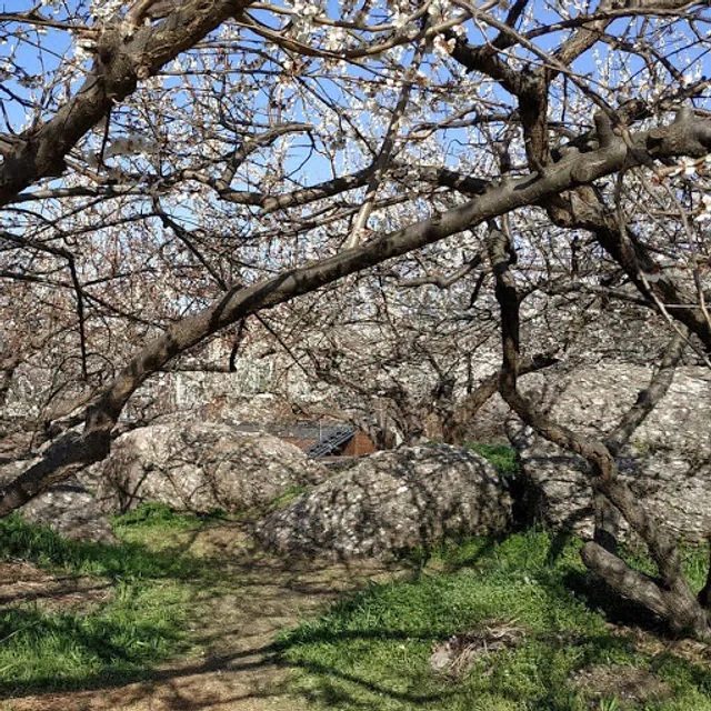 오니기리와이규동 부산동서대점