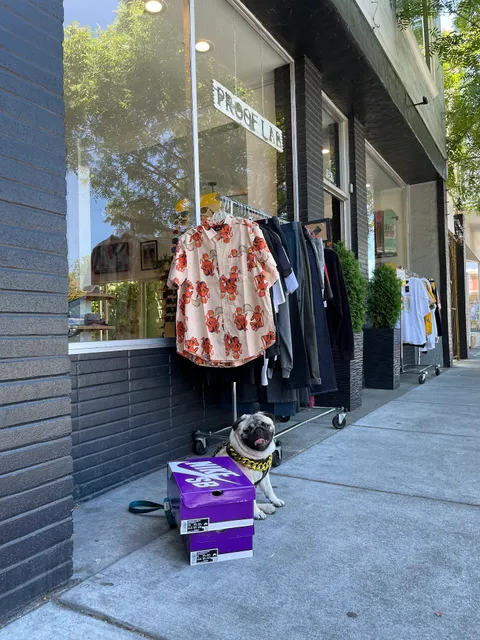 Proof Lab Skate Shop