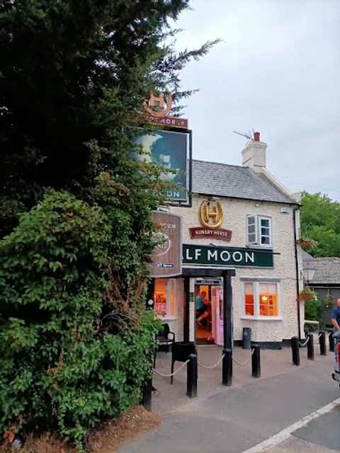 Half Moon Mildenhall