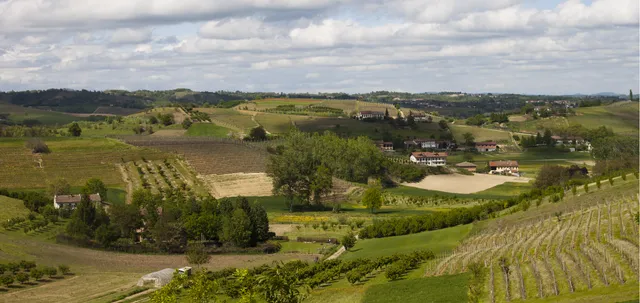Cantina Franco Giacinto e Agriturismo Cà Colomba