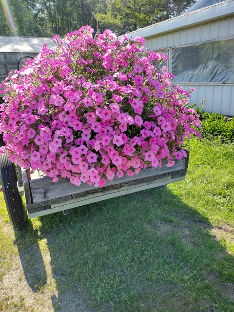 Erik's Garden Center Inc